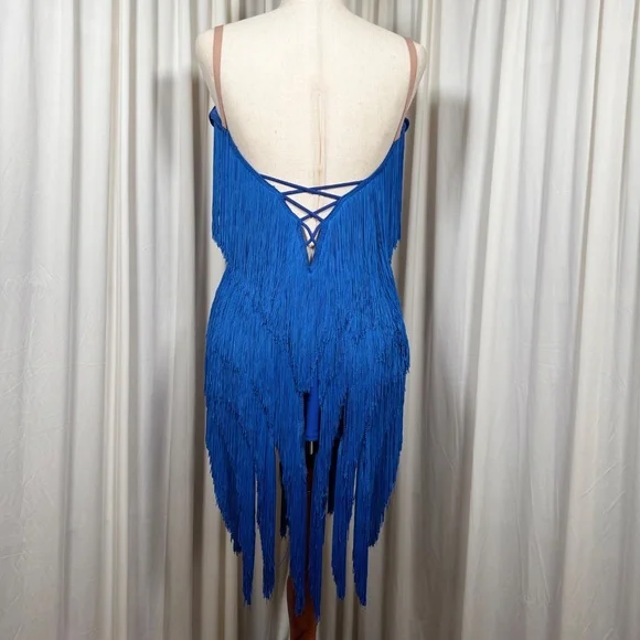 Ballroom Latin Salsa Dress - Picture 3 of 7